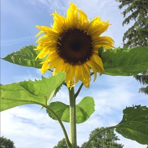 Meet your Posher, Kkelley